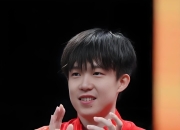 开云体育平台APP-瑞典乒乓球队横扫德国乒乓球队，王皓统治全场的简单介绍