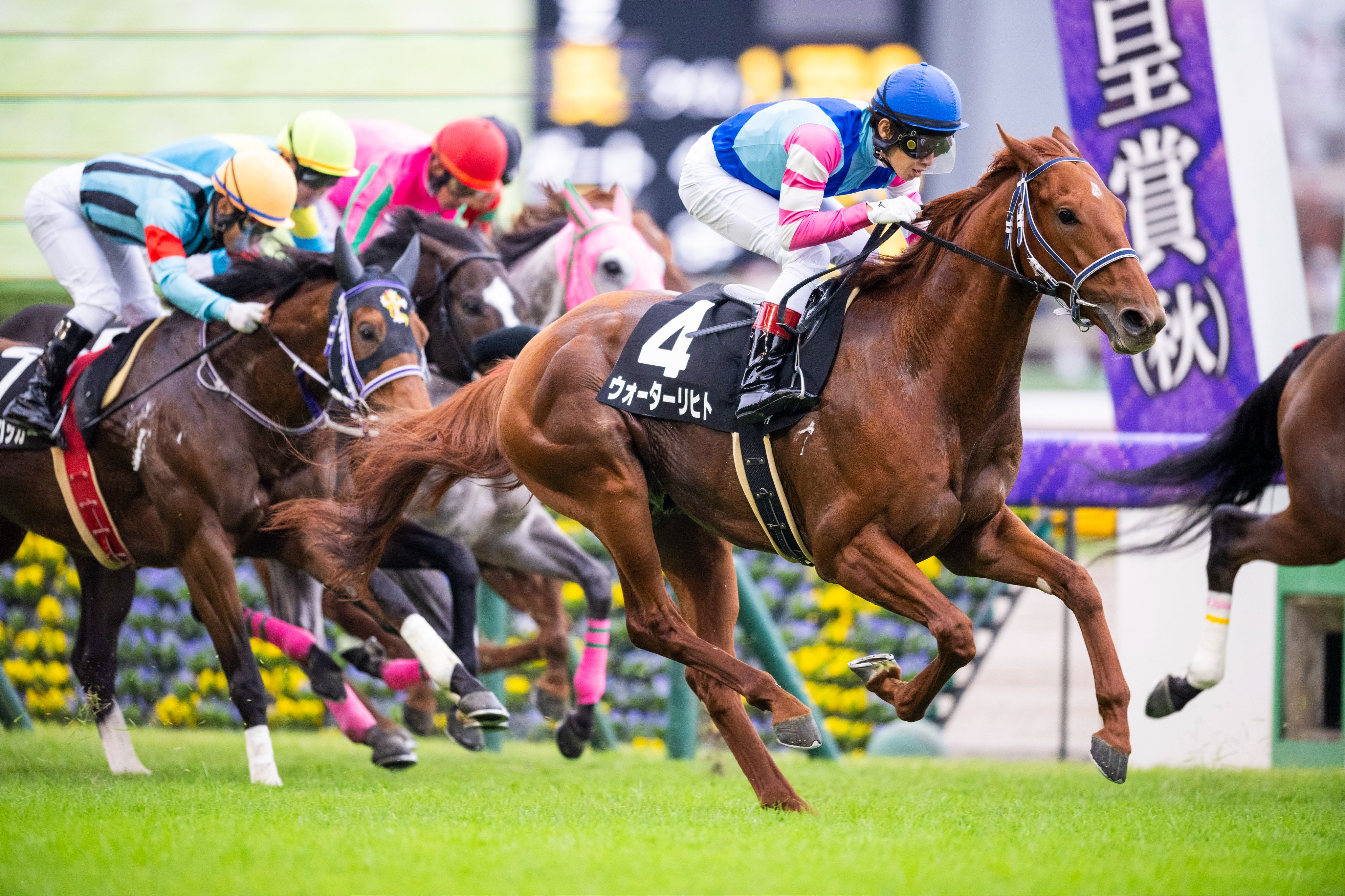 关于马赛主场惜败，状态低迷待提升的信息