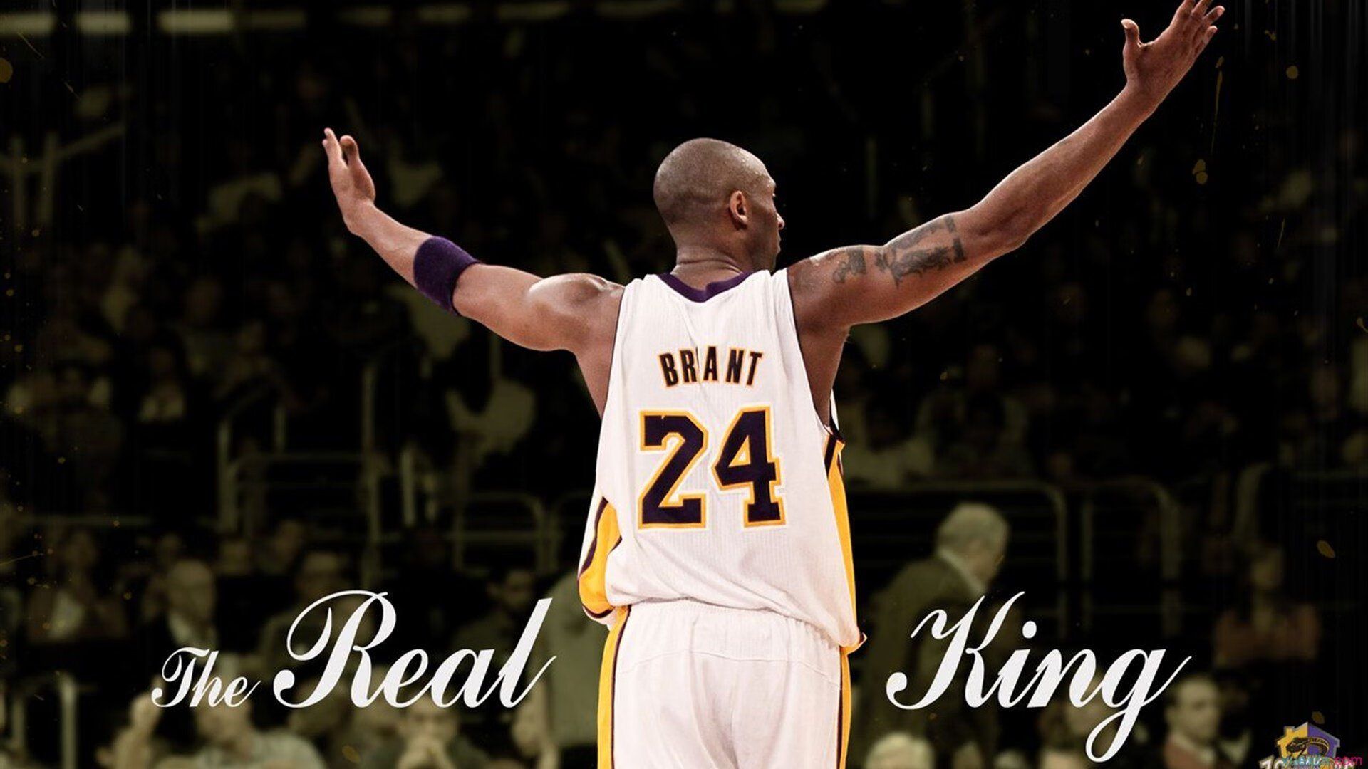 金玟哉用实力证明自己，阿尔及利亚带走伊拉克