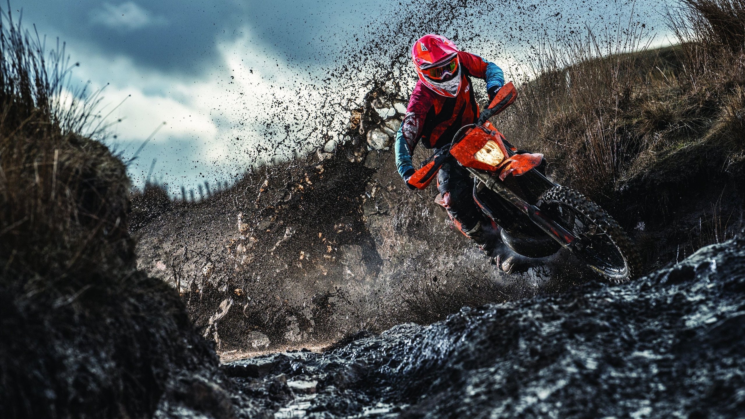 东瀛利刃轻取北欧坚盾，龙吟震彻全场，当日本队巧胜瑞典，马龙展现绝对统治